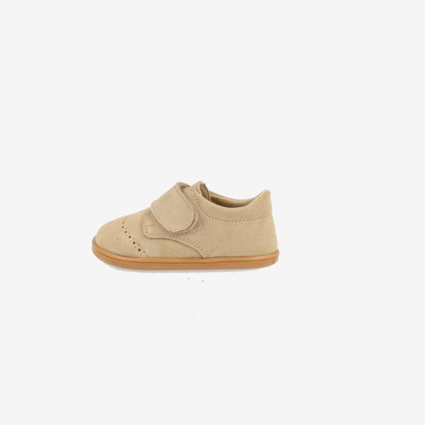CAMEL